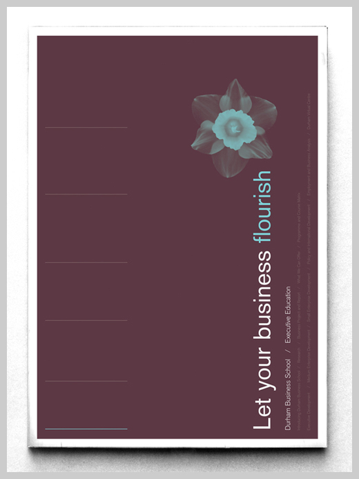 diseño diseño