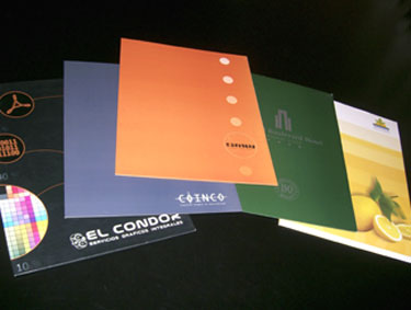 Diseño e impresión de carpetas institucionales.